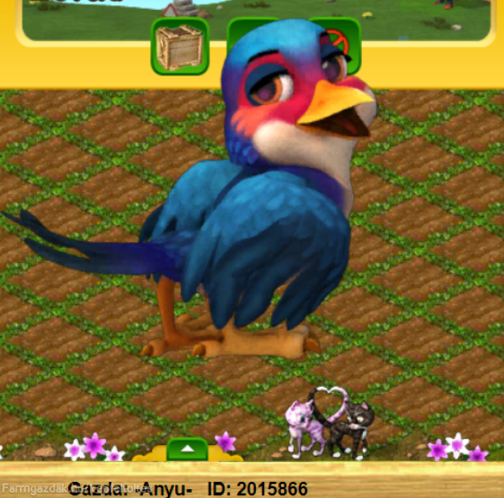 [​IMG]