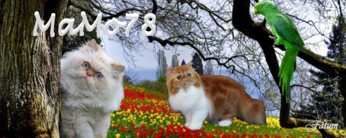 27f1fd49141cfac9a1fe05c9a987c23a.png