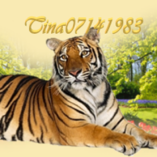 8d6070aa0832191fe8740b09fd13e7f6