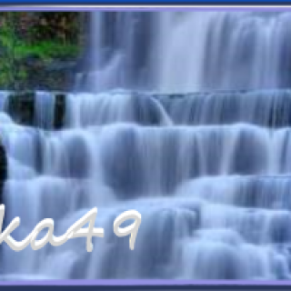 e95c06d05a3af1f277751bfe4e1203fe